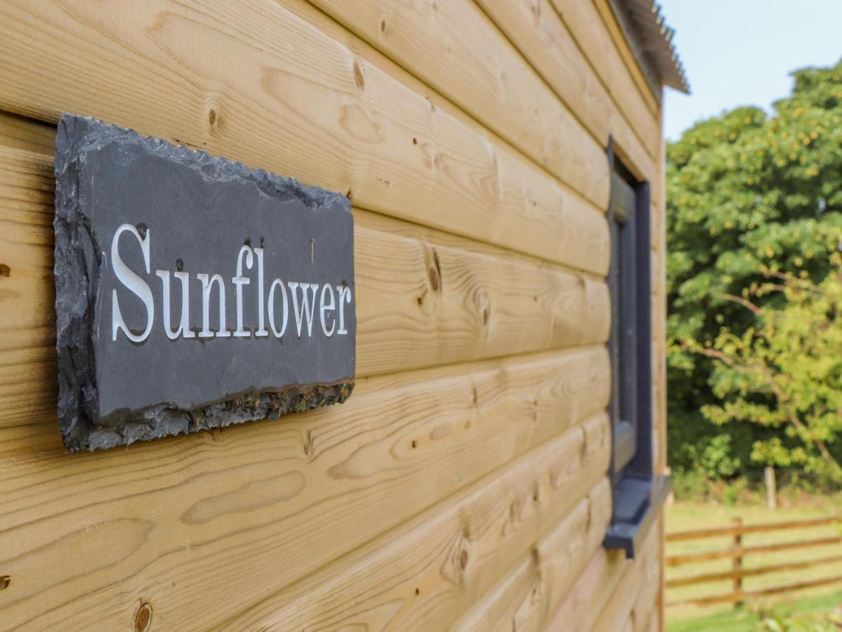 Sunflower Redruth Exterior photo